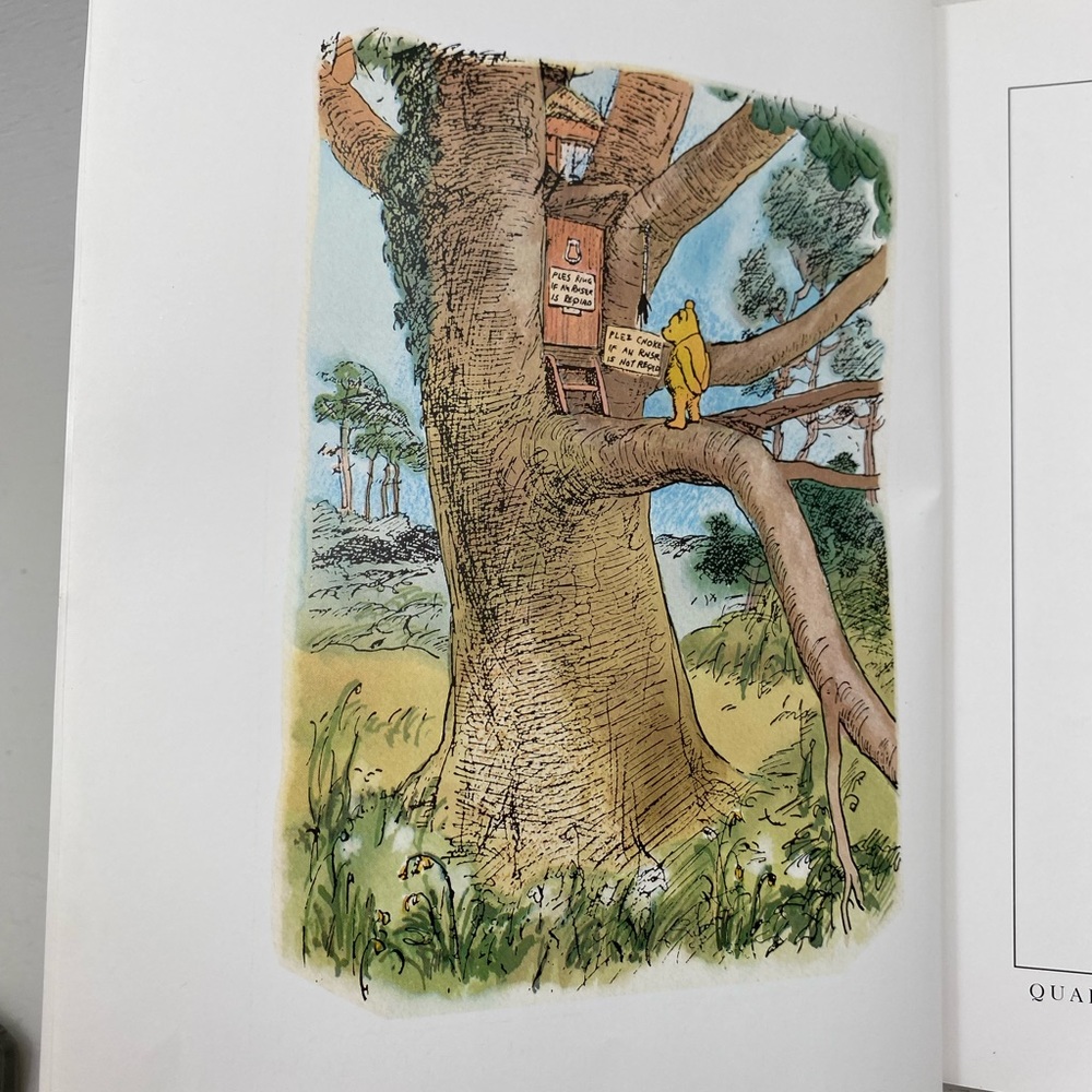 The Complete Tales And Poems Of Winnie-the-pooh Milne & Shepard Book - Picture 10 of 14